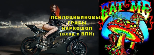 молекула духа Алексин